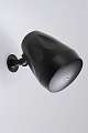 AuraSonics FLORET-6T подвесная акустическая система, цвет черный