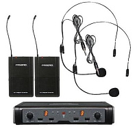 Pasgao PAW266/PBT-172/PH90 655-679MHz радиосистема с двумя головными микрофонами