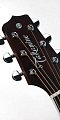 TAKAMINE ARTIST EF360GF GLENN FREY SIGNATURE электроакустическая гитара типа DREADNOUGHT с кейсом, цвет- натуральный