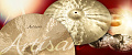SABIAN 14" ARTISAN HATS ударный инструмент, тарелка (пара), отделка Brilliant, стиль и звук Creative, металл B20 Bronze, вес: Medium Top/Heavy Bottom