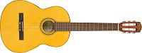 FENDER ESC-110 CLASSICAL классическая гитара, цвет натуральный, чехол в комплекте