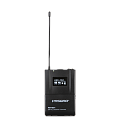 Pasgao PAW-920 Rx_PAH-801 TxH_PBT-801 TxB радиосистема с ручным и поясным передатчиками с петличным микрофоном