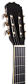 ARIA FIESTA FST-200 N Гитара классическая, верх: американская липа