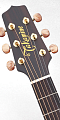 TAKAMINE ARTIST GB7C GARTH BROOKS SIGNATURE электроакустическая гитара типа DREADNOUGHT CUTAWAY с кейсом