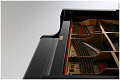 Kawai GL-10 M/PEP кабинетный рояль, цвет черный полированный 